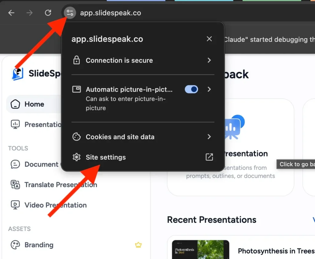 Site settings option in the Chrome menu that opens from the icon next to the address bar