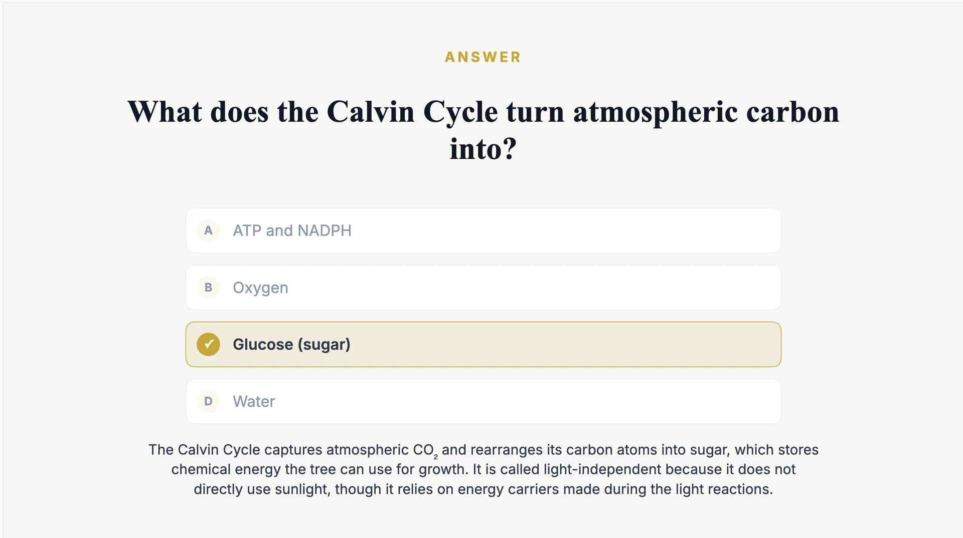 The answer slide that follows a quiz slide in SlideSpeak, with the correct option highlighted and an explanation
