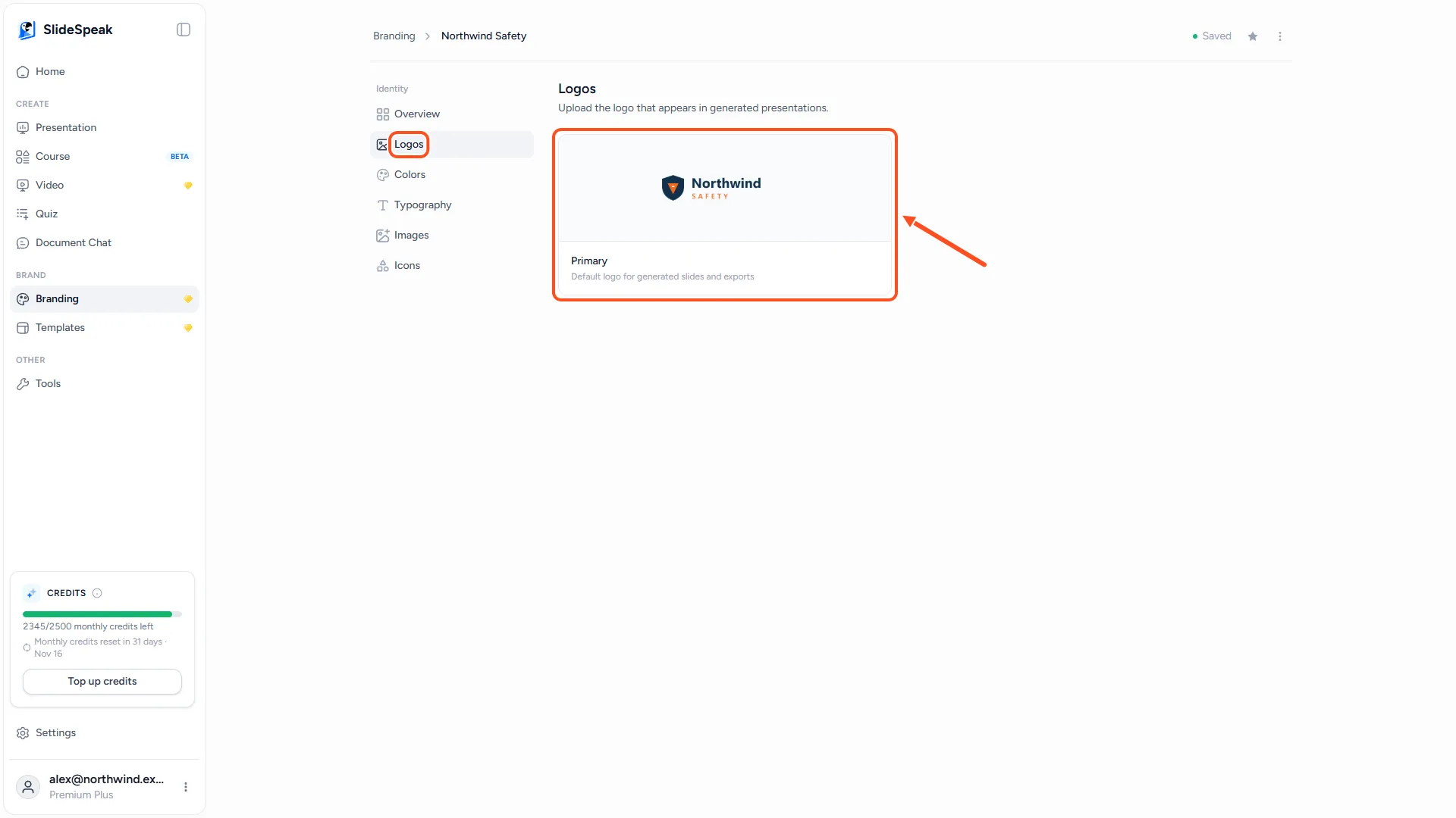 Brand editor showing the imported logo and primary color