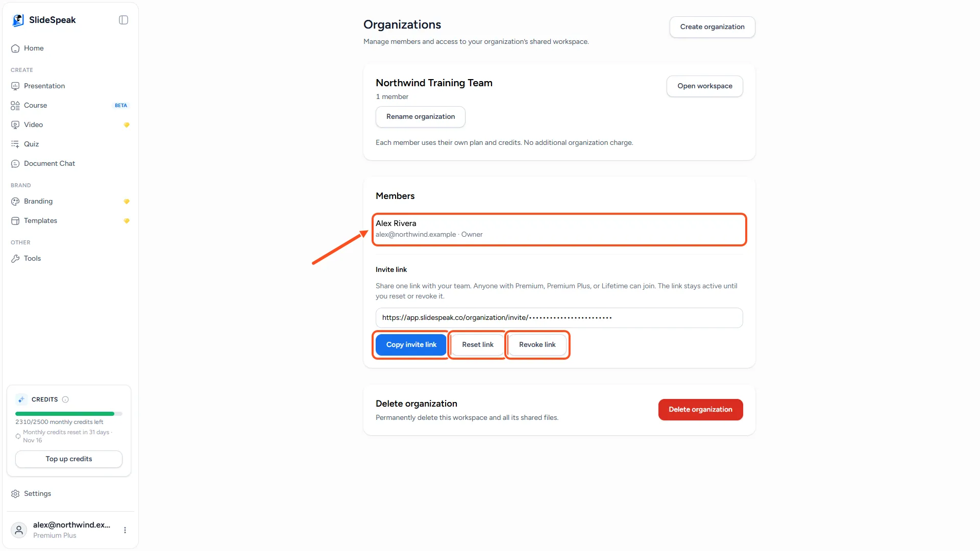 Organization page with the member list showing Owner and Member roles, and the invite link with Copy invite link, Reset link and Revoke link